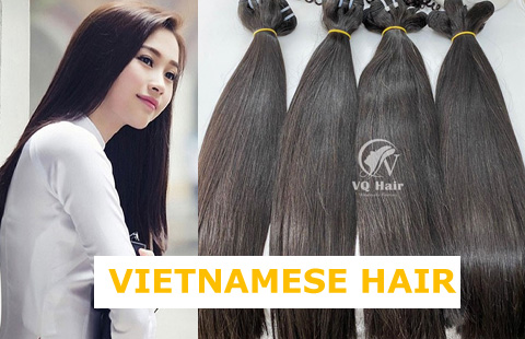 Why Vietnamese hair is the best hair? VQ Hair Factory