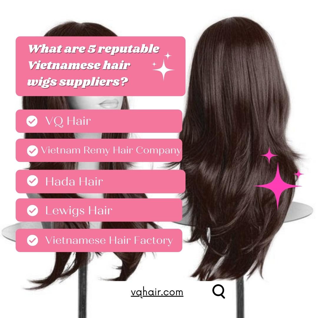 Vietnamese hair wigs supplier