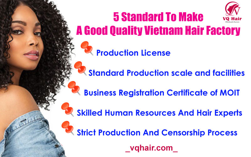 Good quality Vietnam hair factory
