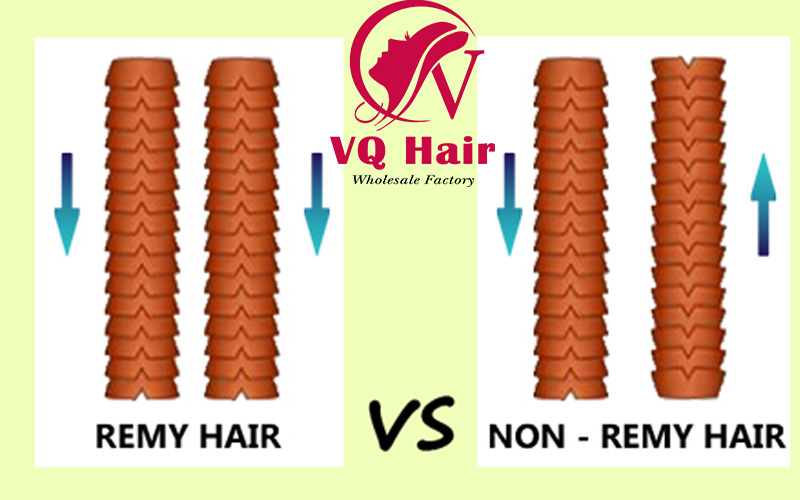 Cuticle of Vietnam remy hair