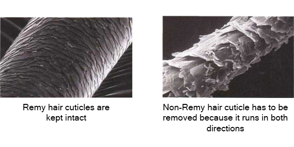 cuticle of remy hair vs non remy hair